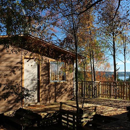 Cabanas Mas Ke Miel Lago Ranco Ngoại thất bức ảnh